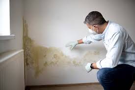 Best Crawl Space Mold Remediation  in Lake Mary, FL